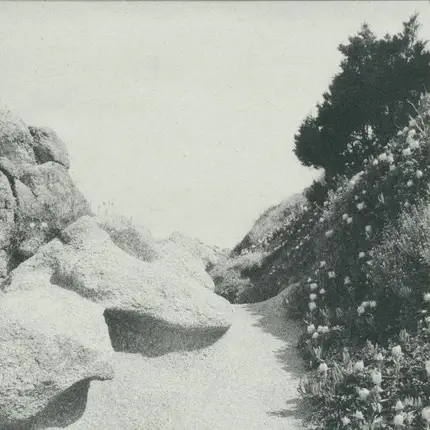 Tilman - MILD WESTERN EP