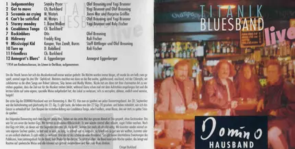 Titanik Bluesband - Domino Hausband