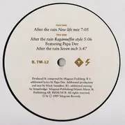 12'' - Titiyo - After The Rain (New Life Mix)