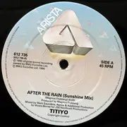 12inch Vinyl Single - Titiyo - After The Rain (The Remixes)