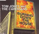 CD Single - Tom Jones And The Cardigans - Burning Down The House