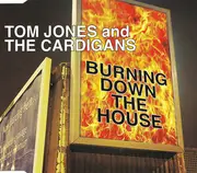 CD Single - Tom Jones And The Cardigans - Burning Down The House