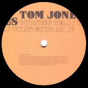 7inch Vinyl Single - Tom Jones - Burning Hell / What Good Am I?