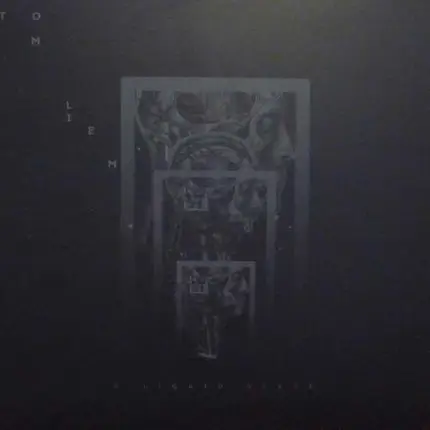 Tom Liem - A Liquid State
