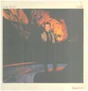 LP - Tom Scott - Desire