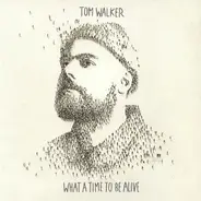 Tom Walker - What a Time To Be Alive