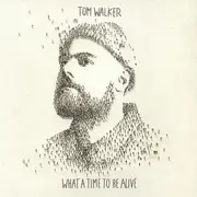 LP - Tom Walker - What A Time To Be Alive - Blue Vinyl
