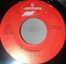7inch Vinyl Single - Tom T. Hall - Homecoming