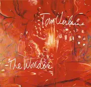Tom Verlaine - The Wonder