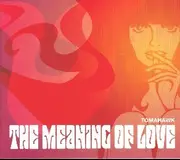 CD - Tomahawk - The Meaning of Love - Digipak