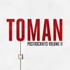 LP - Toman - Postrockhits Vol.2