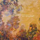 Double LP - Tomas Svensson - Am I Networked?