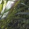 CD - Tomáš Liška - Invisible World