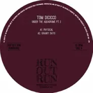 Tom Dicicco - Under The Aquadrome Pt.2