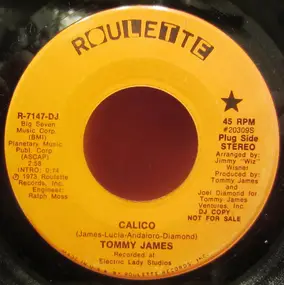 Tommy James & the Shondells - Calico