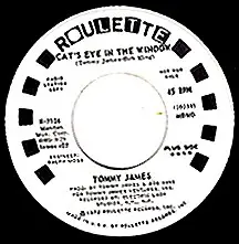 Tommy James - Cat's Eye In The Window