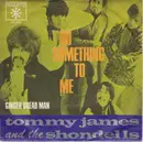 7inch Vinyl Single - Tommy James & The Shondells - Do Something To Me