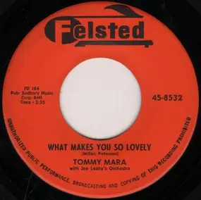 Joe Leahy Orchestra - What Makes You So Lovely / Where The Blue Of The Night