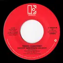 7inch Vinyl Single - Tommy Overstreet - Fadin' Renegade / Smokey Mountain Lullabye