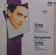 12inch Vinyl Single - Tommy Page - The Shag '88 Mix