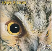 Tommy Snyder - Take A Look