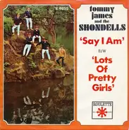 Tommy James & The Shondells - Say I Am (What I Am)