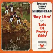 Tommy James & The Shondells - Say I Am (What I Am)