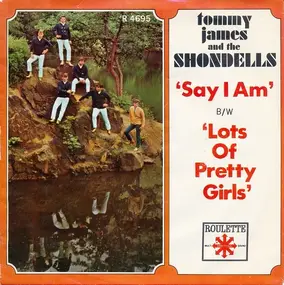 Tommy James & the Shondells - Say I Am (What I Am)