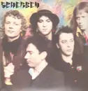 LP - Ton Steine Scherben - Scherben