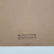 LP - Ton Steine Scherben - Warum Geht Es Mir So Dreckig - stamped