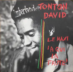 Tonton David - A Qui La Faute