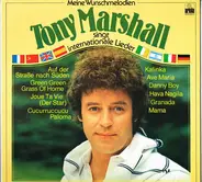 Tony Marshall - Meine Wunschmelodien