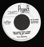 Tony Mottola - The Gang That Sang Heart Of My Heart / Georgia On My Mind