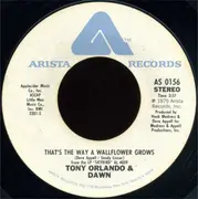 7inch Vinyl Single - Tony Orlando & Dawn - Skybird / That's The Way A Wallflower Grows