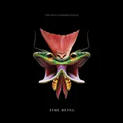 Tony Buck - Time Being