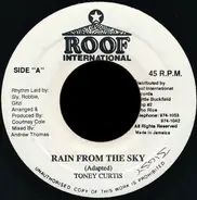 Tony Curtis , Jigsy King - Rain From The Sky