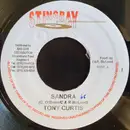 7inch Vinyl Single - Tony Curtis - Sandra