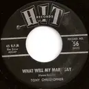 7inch Vinyl Single - Tony Christopher / The Dacrons - What Will My Mary Say / South Street