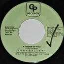7inch Vinyl Single - Tony Gallant - A Dream Of You