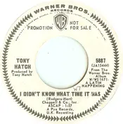 Tony Hatch - I Didn't Know What Time It Was