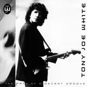 CD - Tony Joe White - The Path Of A Decent Groove
