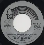 Tony Orlando And Dawn - Whos In The Strawberry Patch With Sally / Ukulele Man