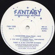 Toney D & The Lovetrip Orchestra - Housework