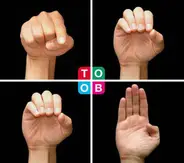 Toob - How to Spell Toob