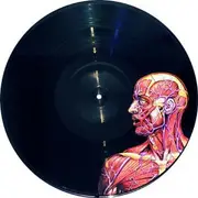 Picture LP - Tool - Lateralus - Double LP, 180 Gram