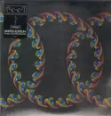 Picture LP - Tool - Lateralus - Double LP, 180 Gram