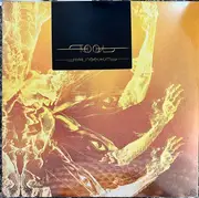 LP-Box - Tool - Fear Inoculum - Trifold, 180g, Poster Incl.