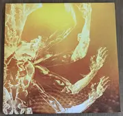 LP-Box - Tool - Fear Inoculum - Trifold, 180g, Poster Incl.