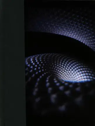 Tool - Fear Inoculum
