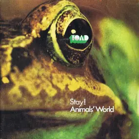Toad - Stay! / Animals' World